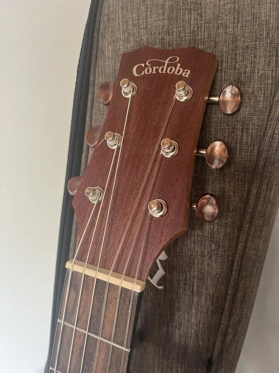 Kytara Cordoba Mini II MH