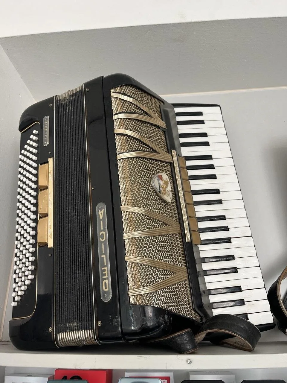 Harmonika Delicia