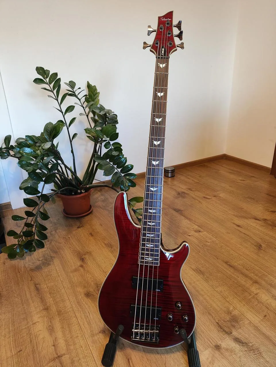 Schecter Omen Extreme 5