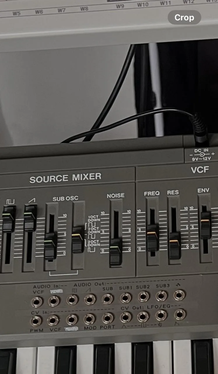 ROLAND SH 101 + tubbutec midi exp. + Analogue Solution mod