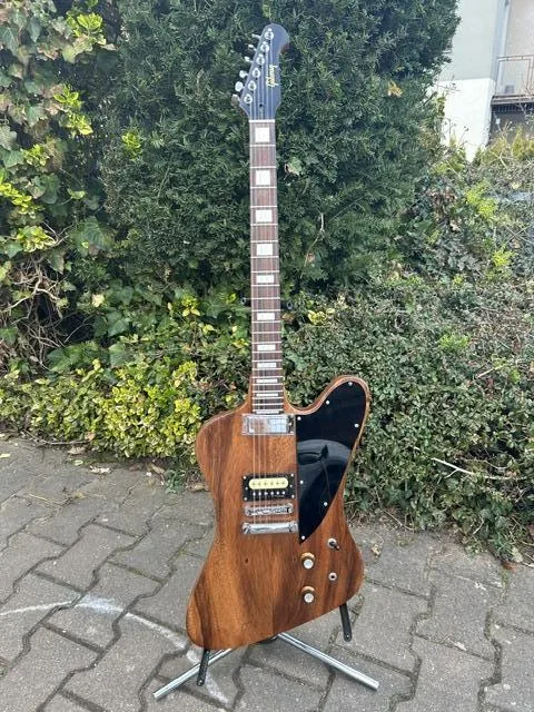 Gibson Firebird Studio