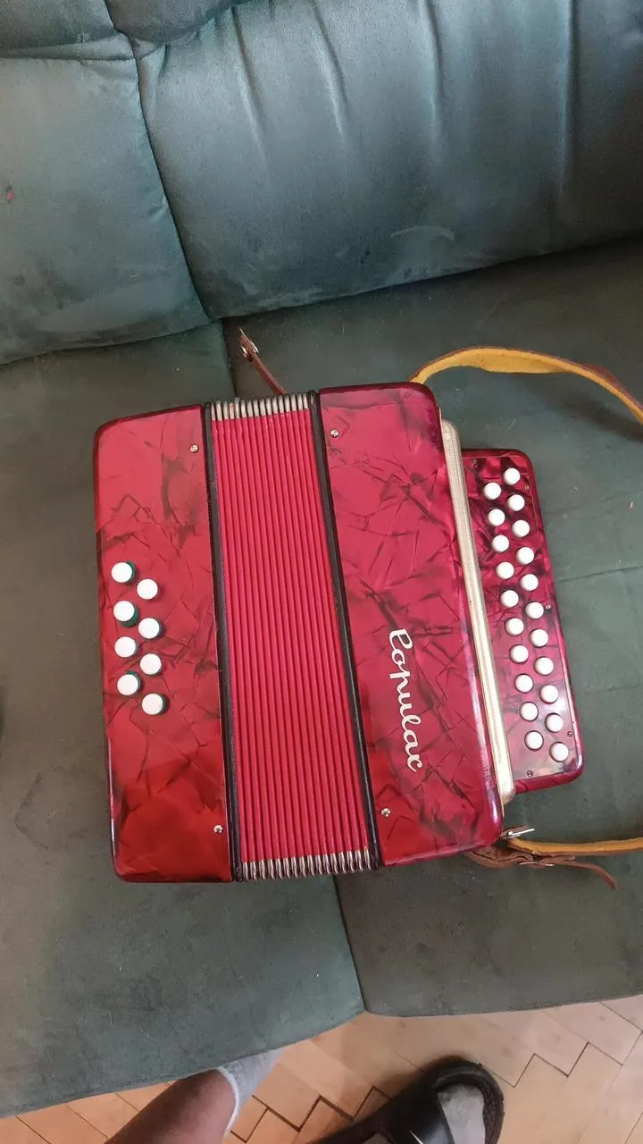 Harmonika Czechoslovakia 1978 DELÍCIA