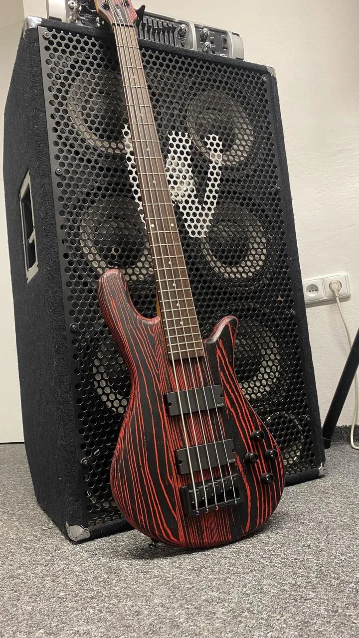 Spector NS Pulse Cinder Red + fishman fluence