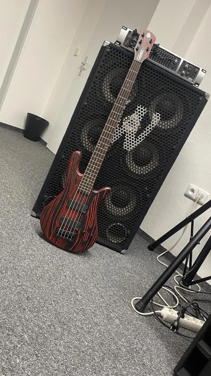 Spector NS Pulse Cinder Red + fishman fluence