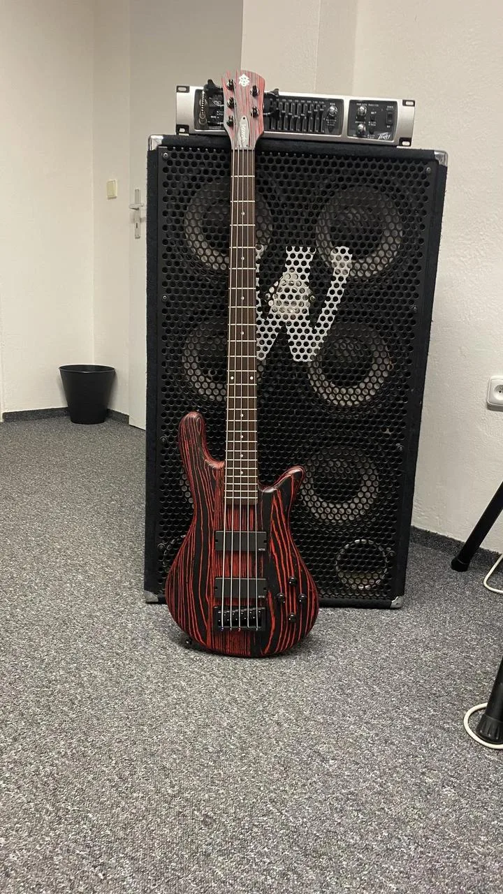 Spector NS Pulse Cinder Red + fishman fluence