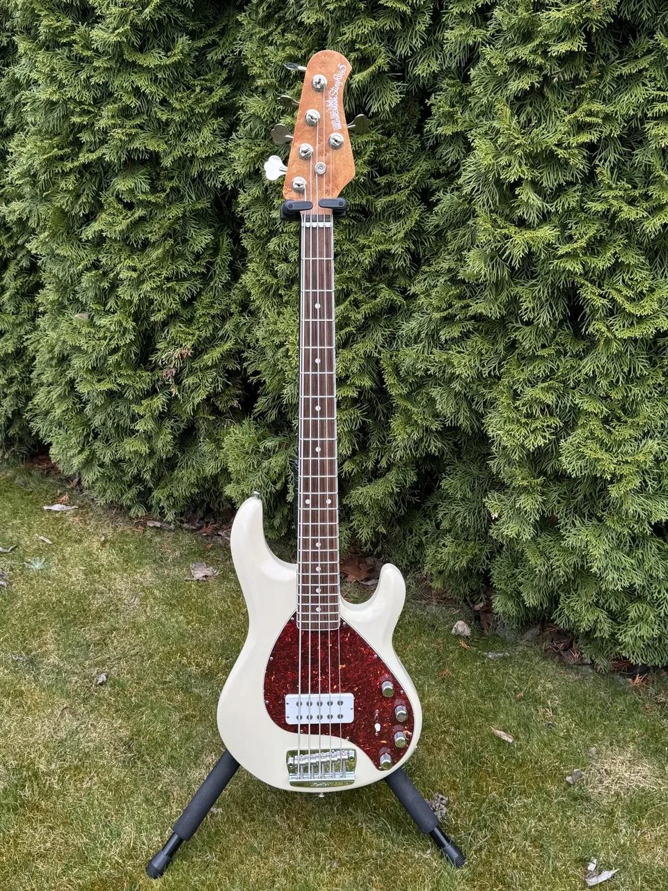 Ernie Ball Trans Buttercream Music Man 2017 30th anniversary