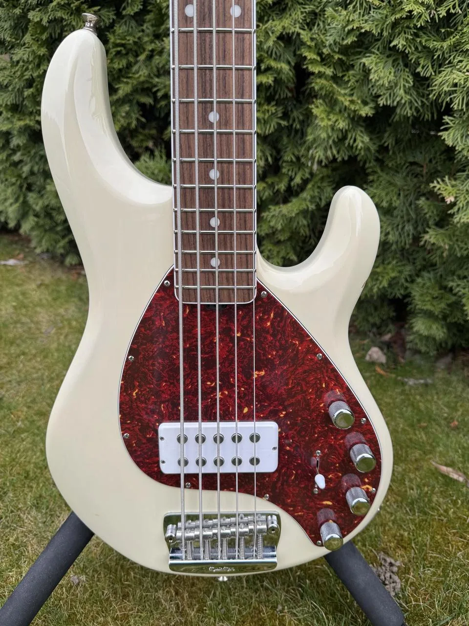Ernie Ball Trans Buttercream Music Man 2017 30th anniversary
