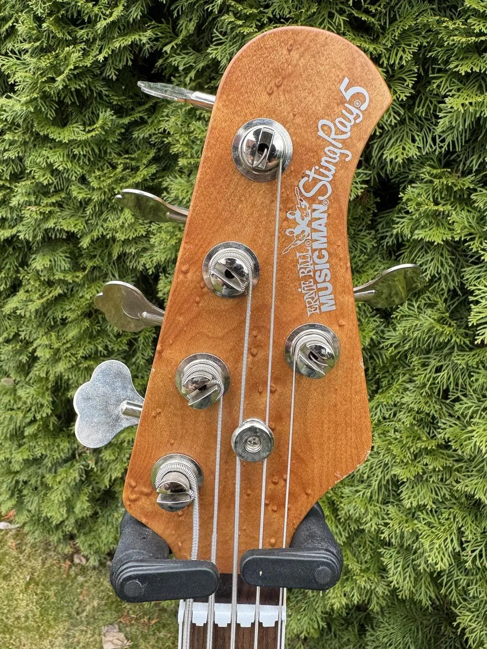 Ernie Ball Trans Buttercream Music Man 2017 30th anniversary
