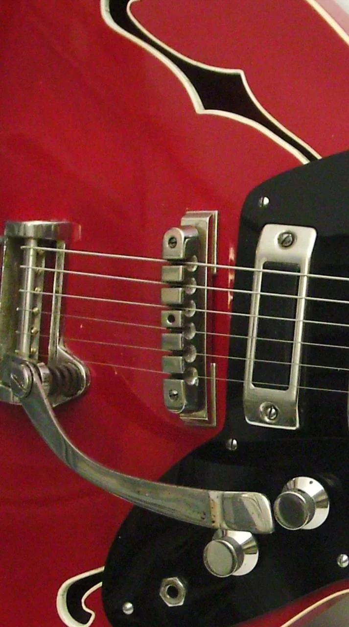 Koupím originální kobylku a pickguard Jolana Tornádo