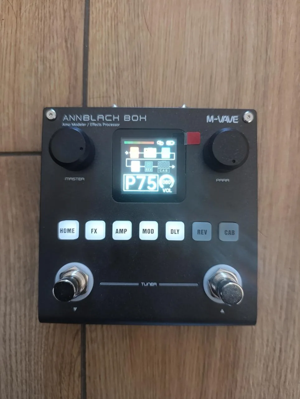 Ann Black Box Amp Modeler / Effect Processor M-Vave