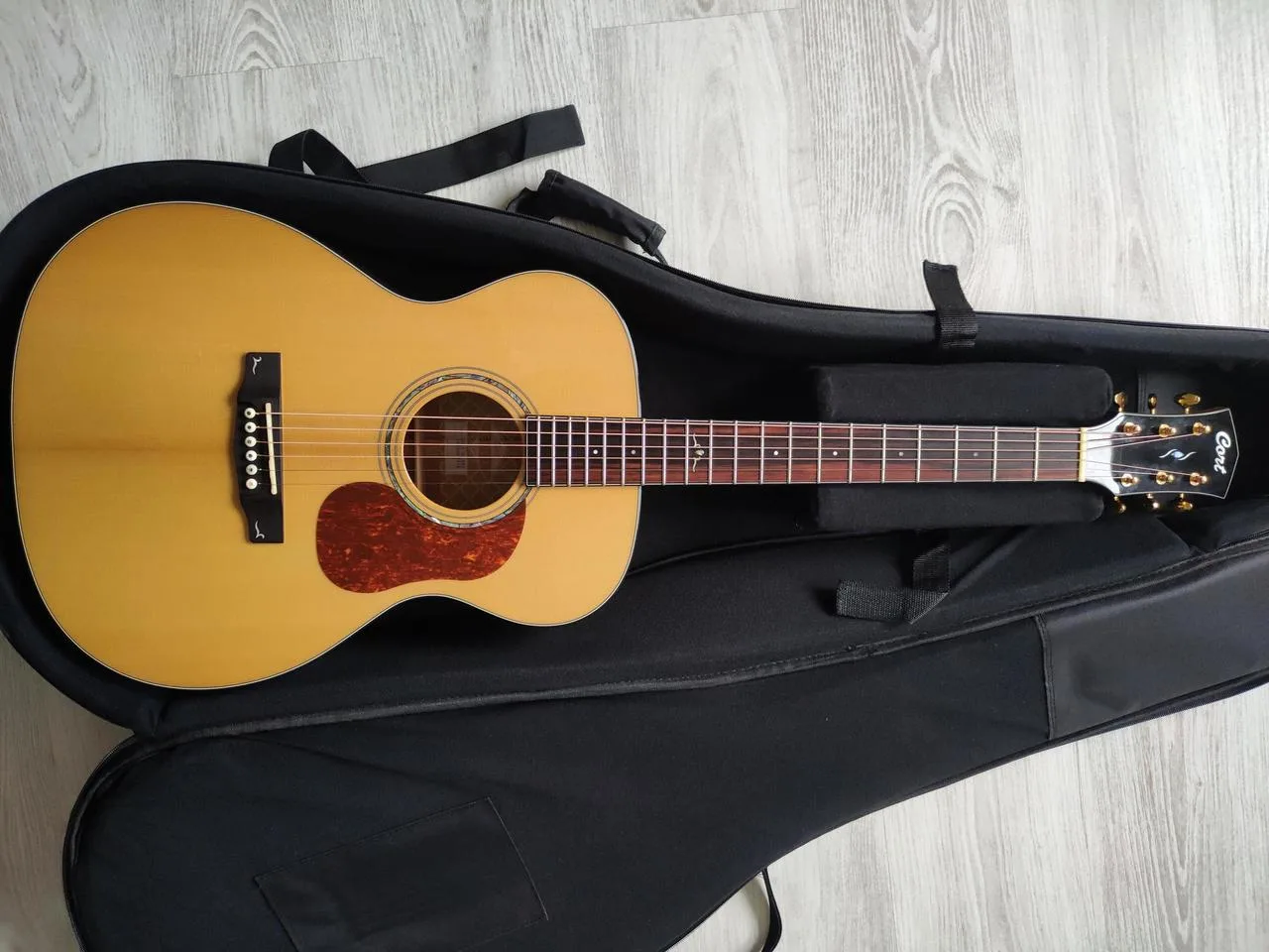 Cort O6 Gold - akustická celomasívna gitara