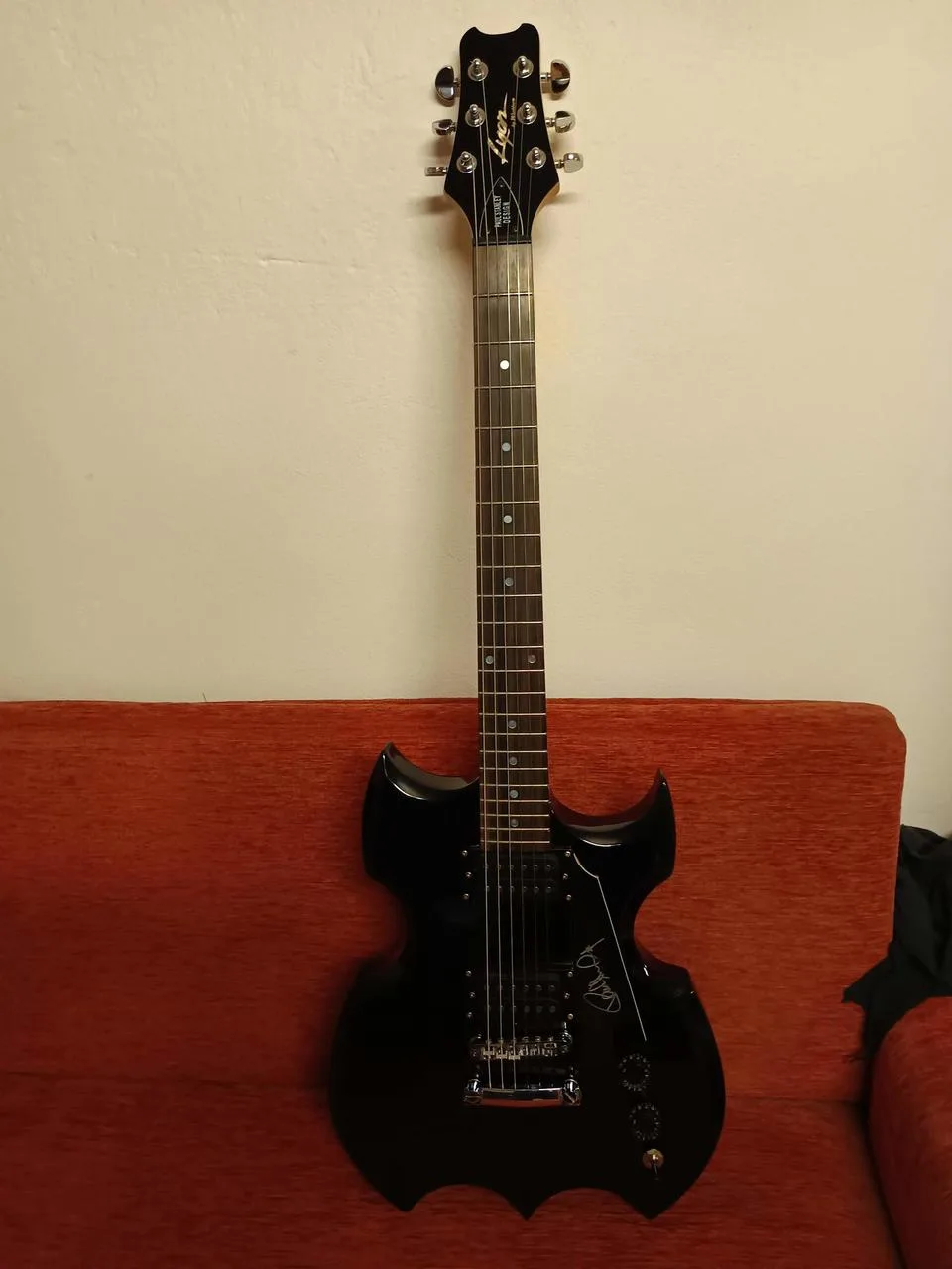 Washburn Lyon Paul Stanley