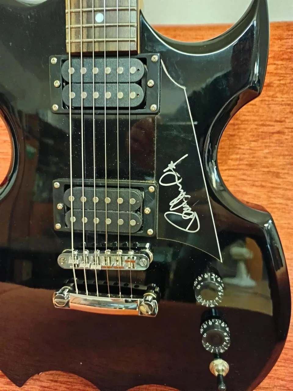 Washburn Lyon Paul Stanley