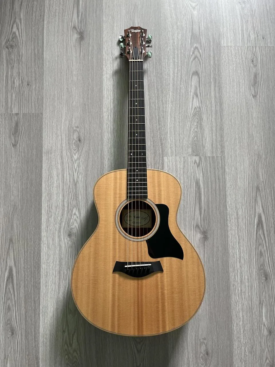 Taylor GS Mini Rosewood + příslušenství