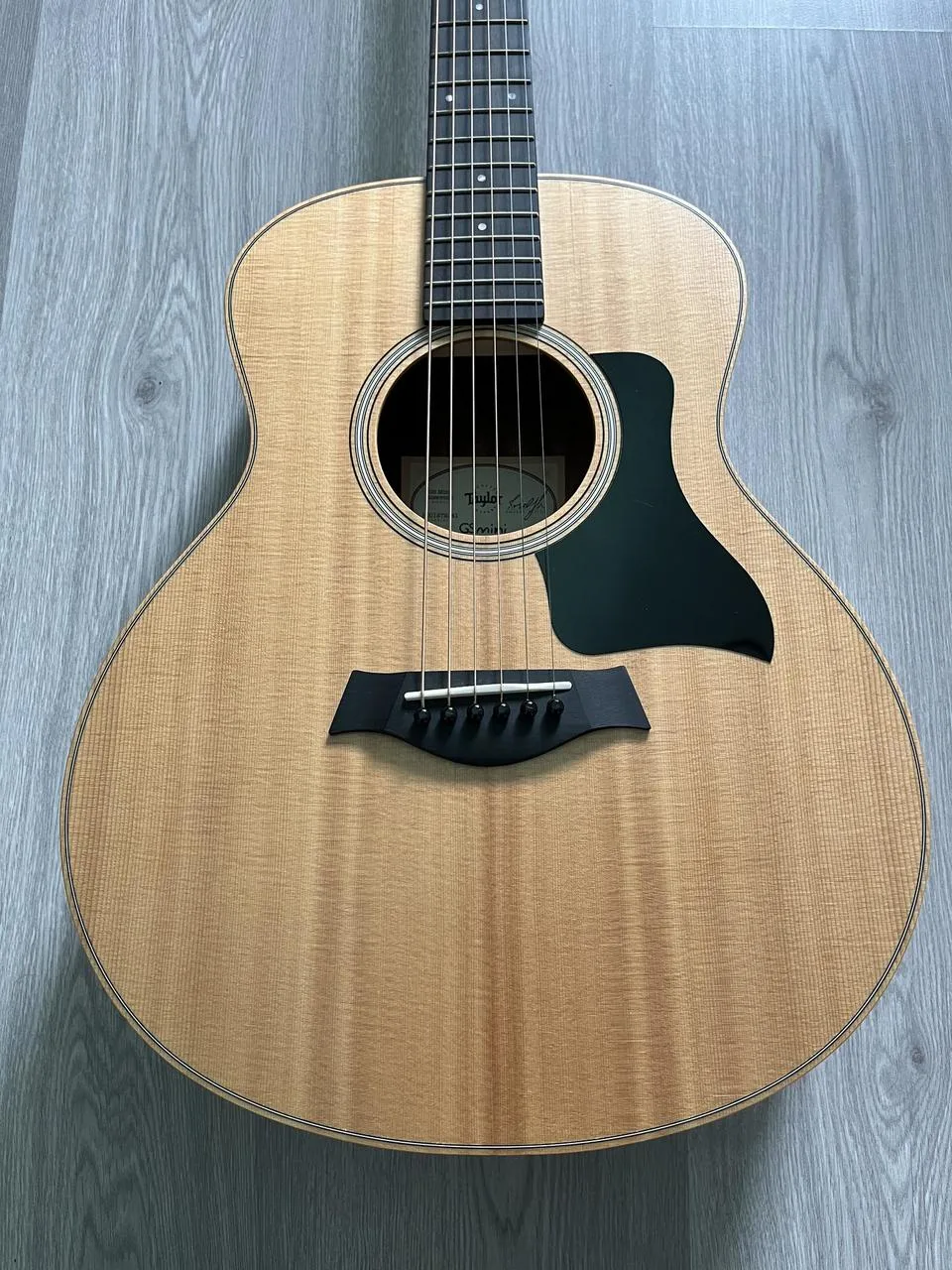 Taylor GS Mini Rosewood + příslušenství