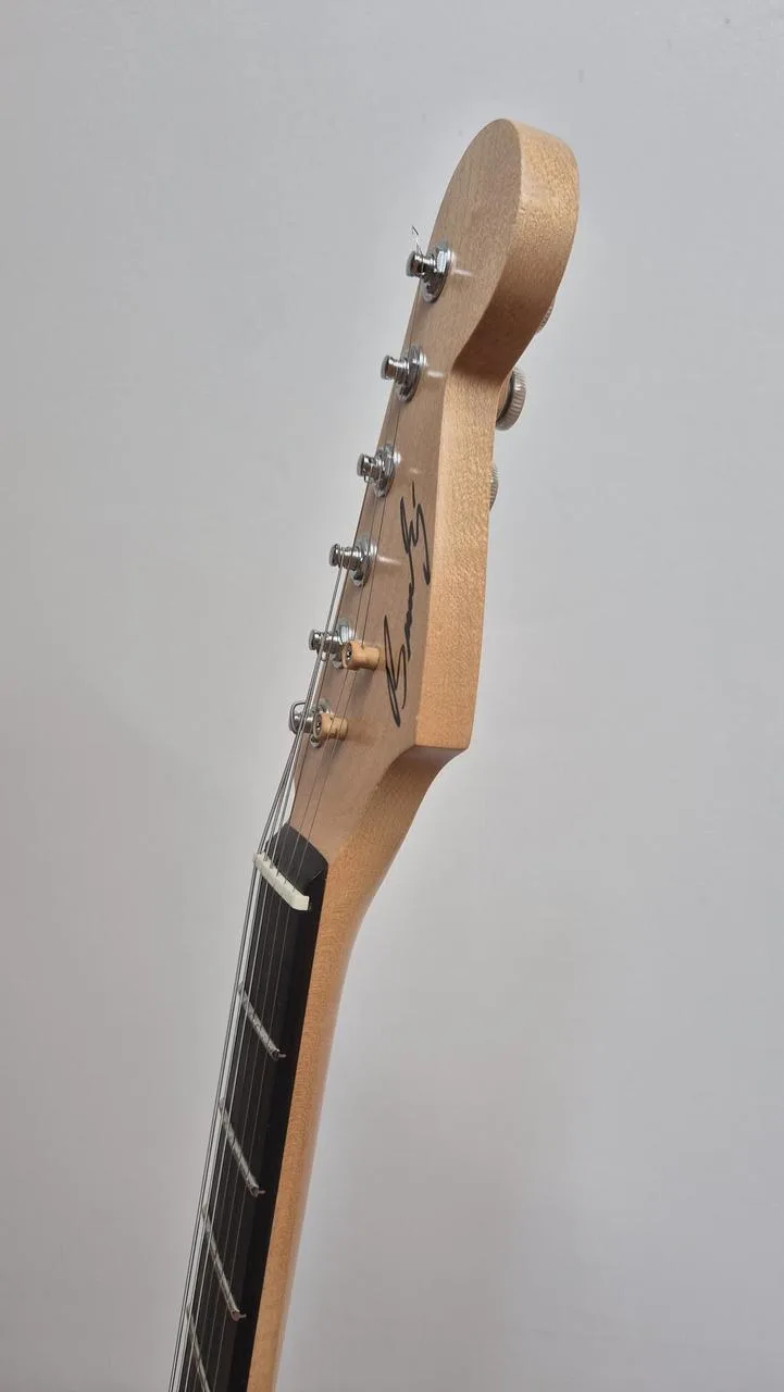 Zákazková elektrická kytara Stratocaster