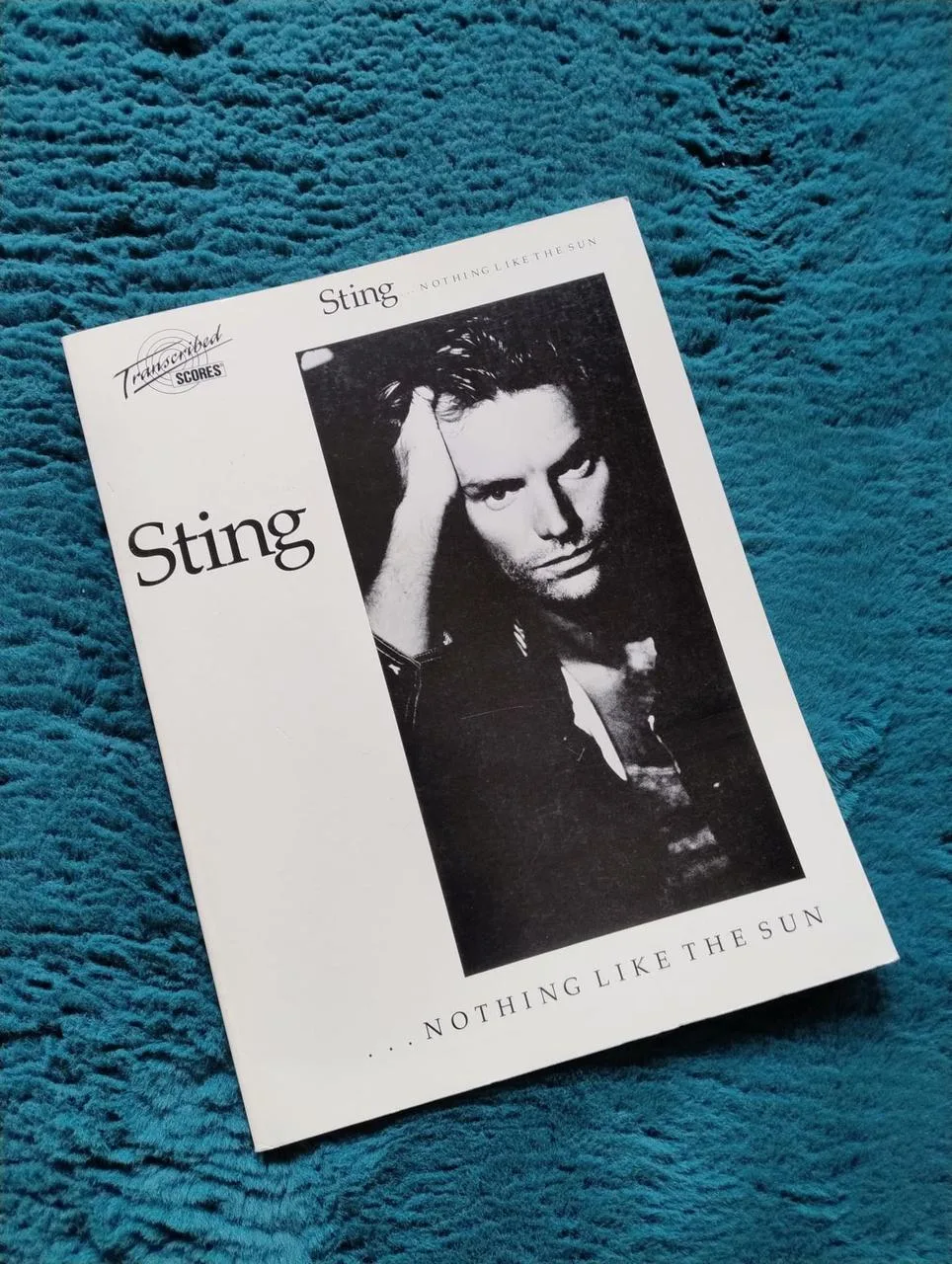 Sting …Nothing Like the Sun