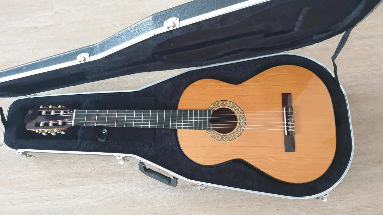 Alvaro s elektronikou Fishman