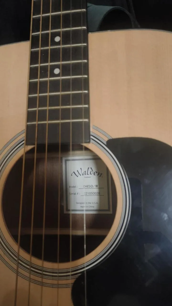 Walden Guitars