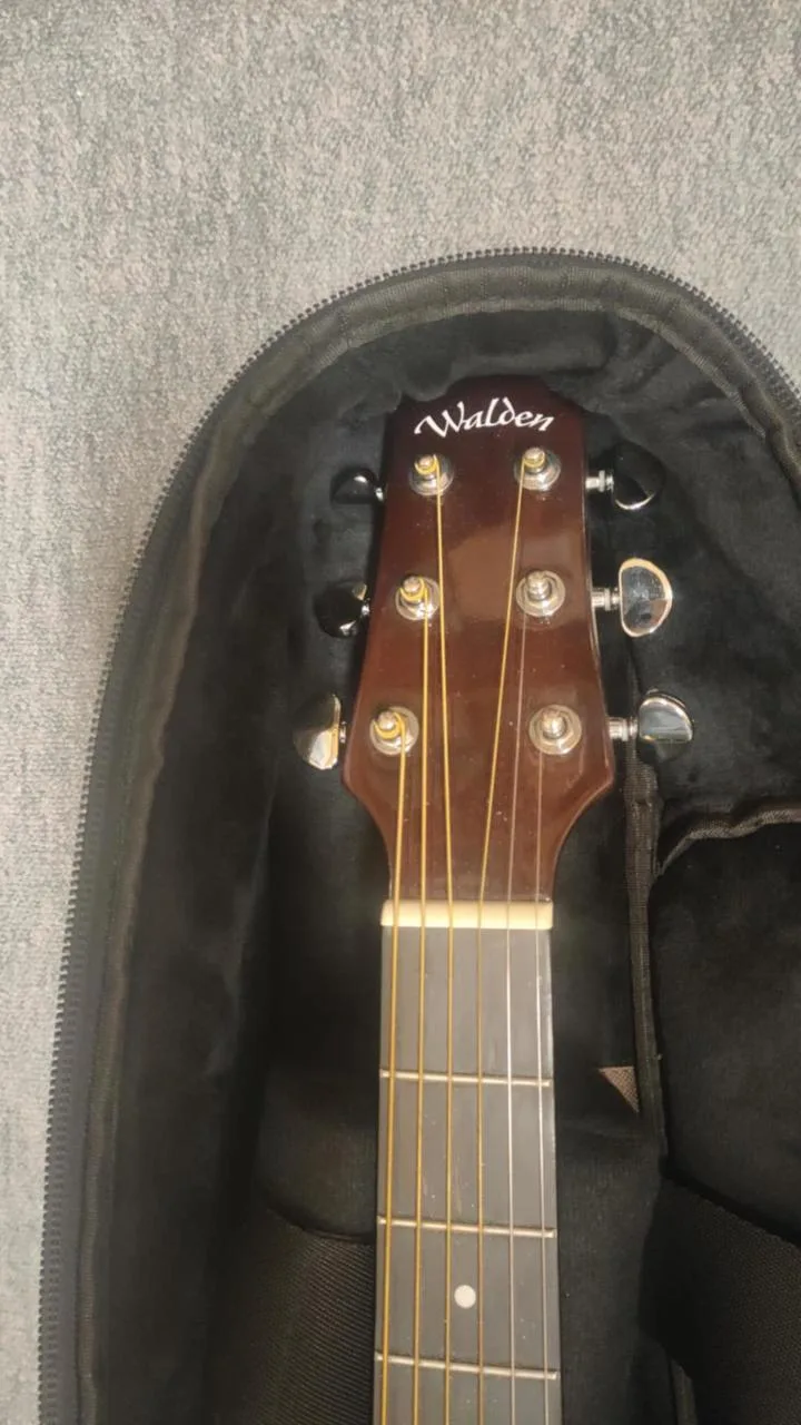 Walden Guitars