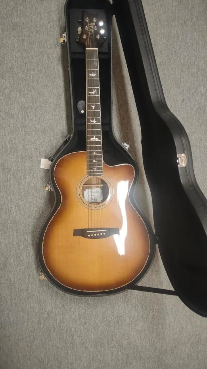 Paul Reed Smith SE