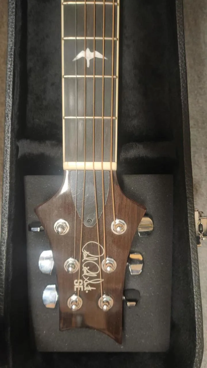 Paul Reed Smith SE
