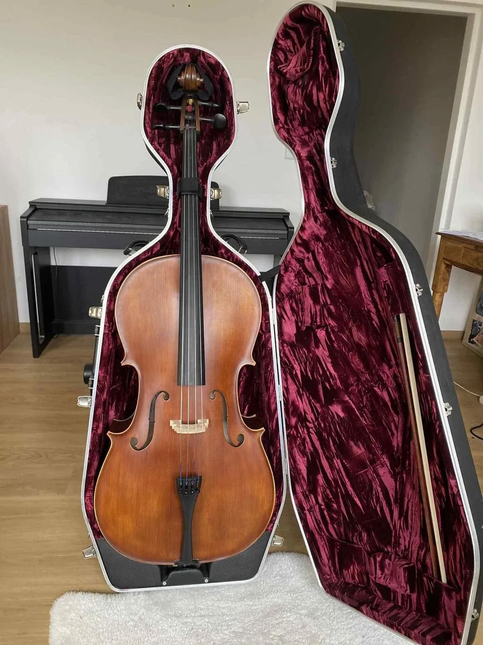 Violoncello Leonardo + Hiscox hard case