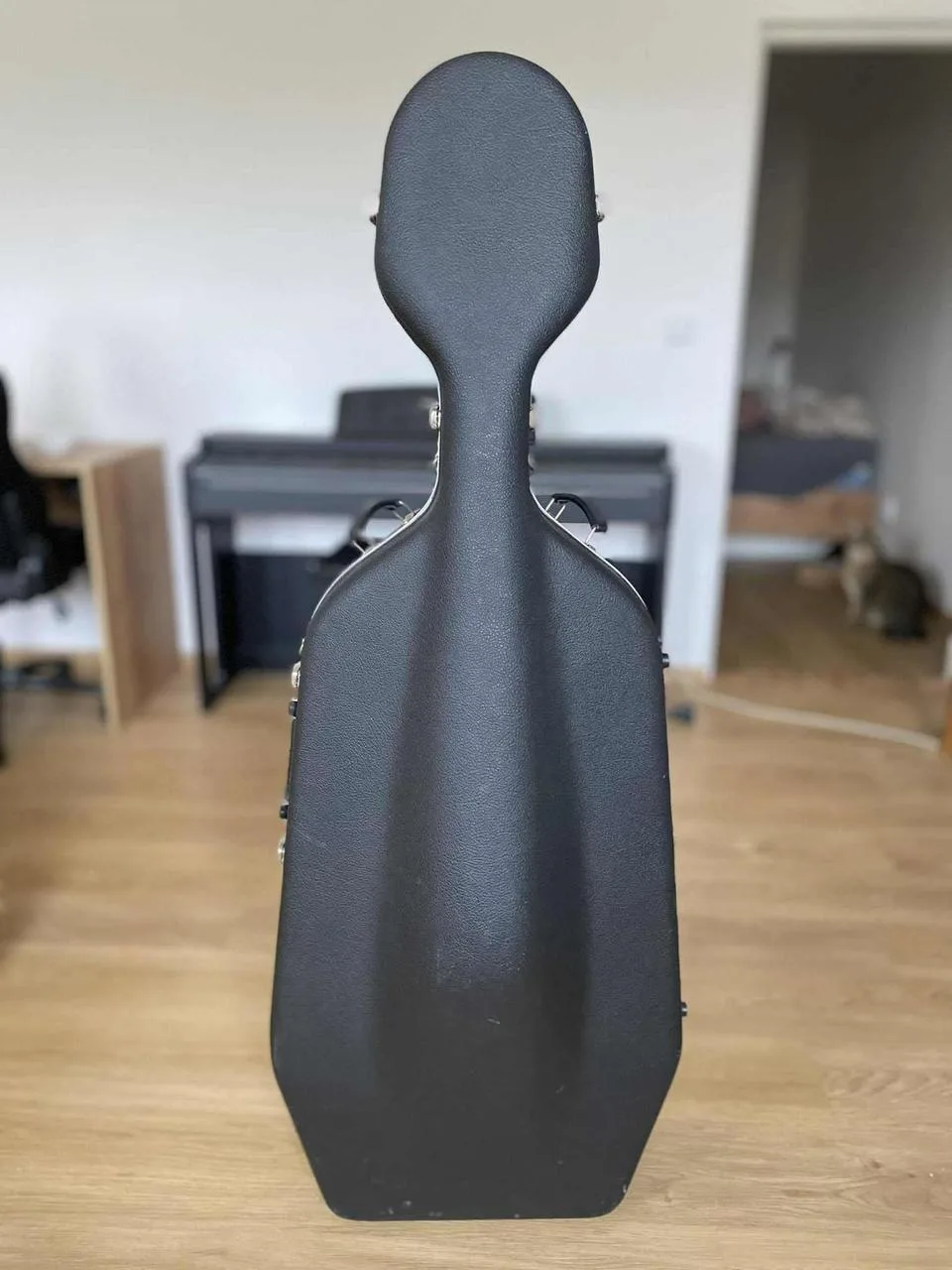 Violoncello Leonardo + Hiscox hard case