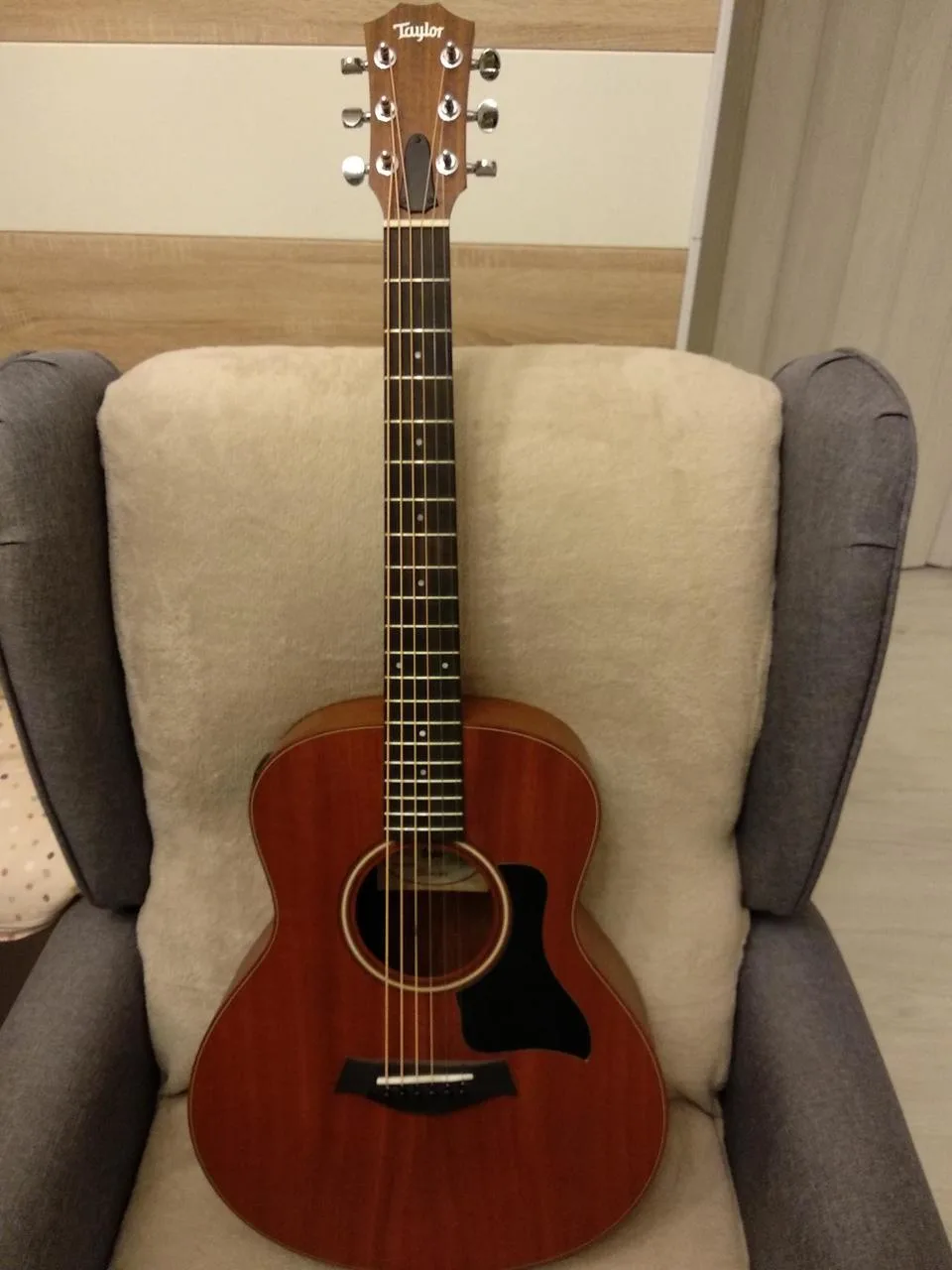 Taylor GS mini e-mahagony