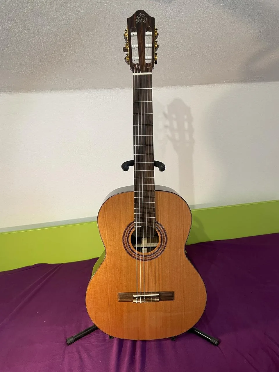 Celomasivní klasická kytara Kremona Fiesta FC