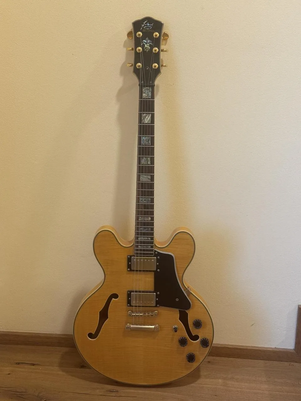 Fokus Guitar Semi-Hollow ES-335 style TOP stav, krásný javor
