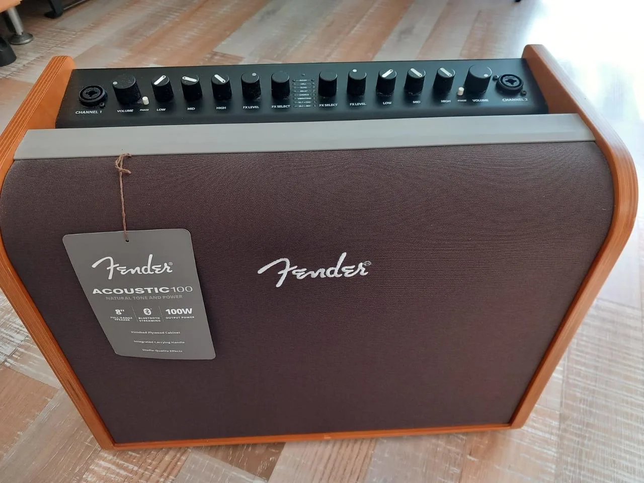 Fender acoustic 100