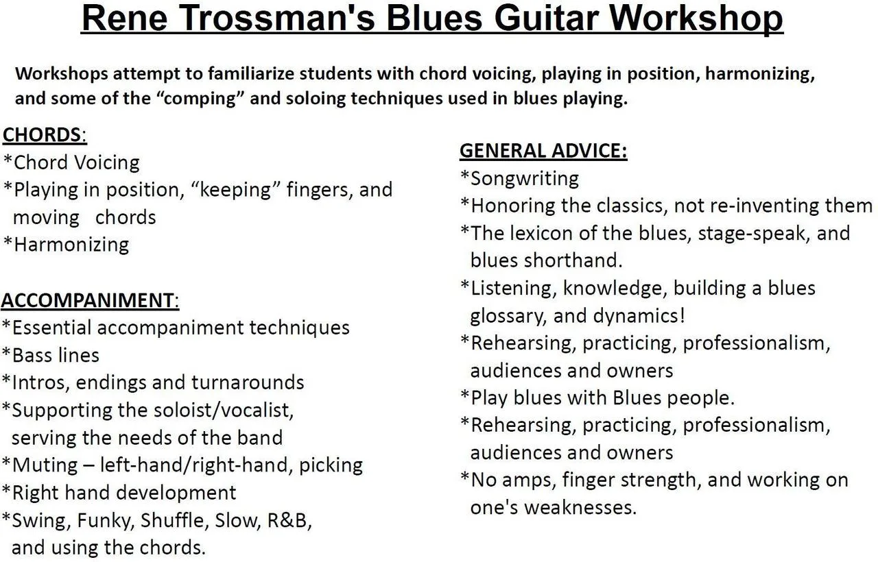 30-year professional offering Blues Guitar Lessons