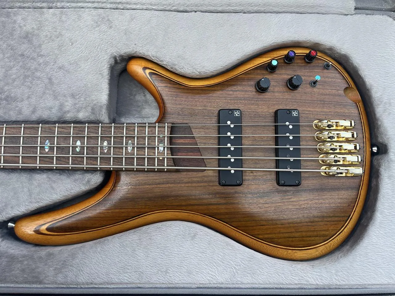 Ibanez výroční série 5 strun