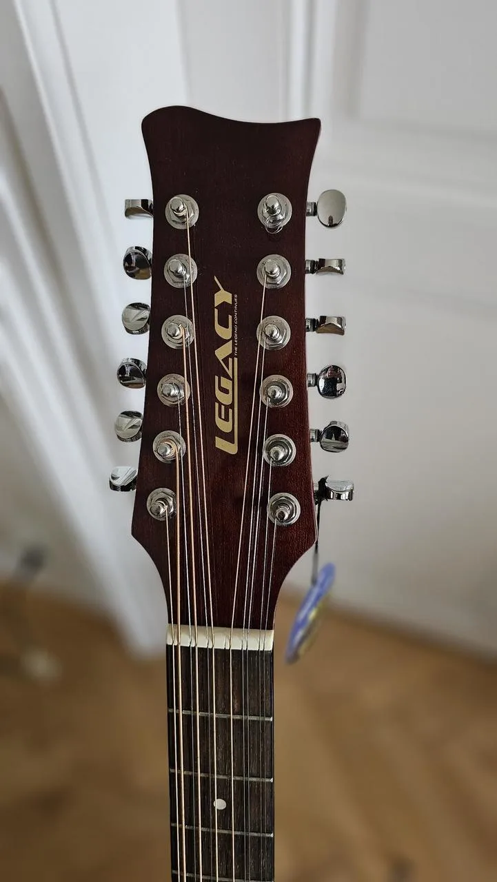 12strunná elektroakustická kytara