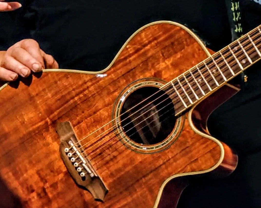 Prodám kytaru Takamine EF508 KC