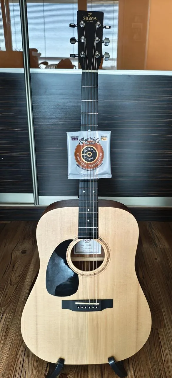 Sigma guitars dmel
