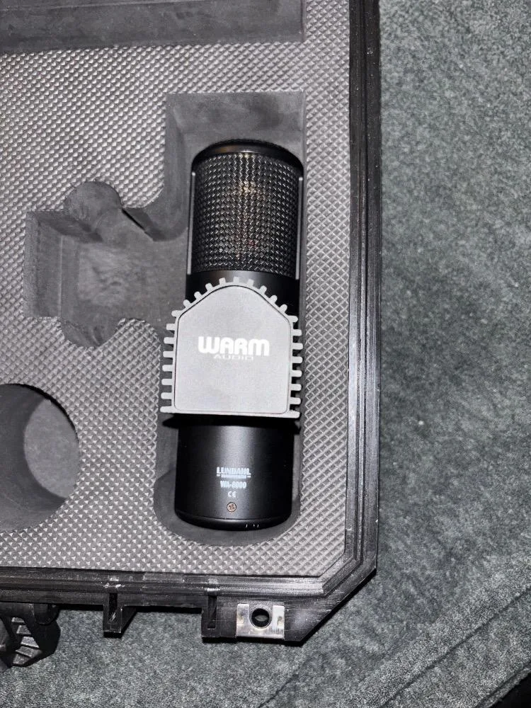 Warm Audio - WA8000