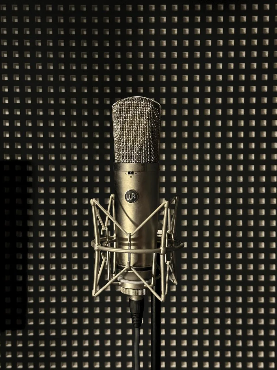 Warm Audio WA67