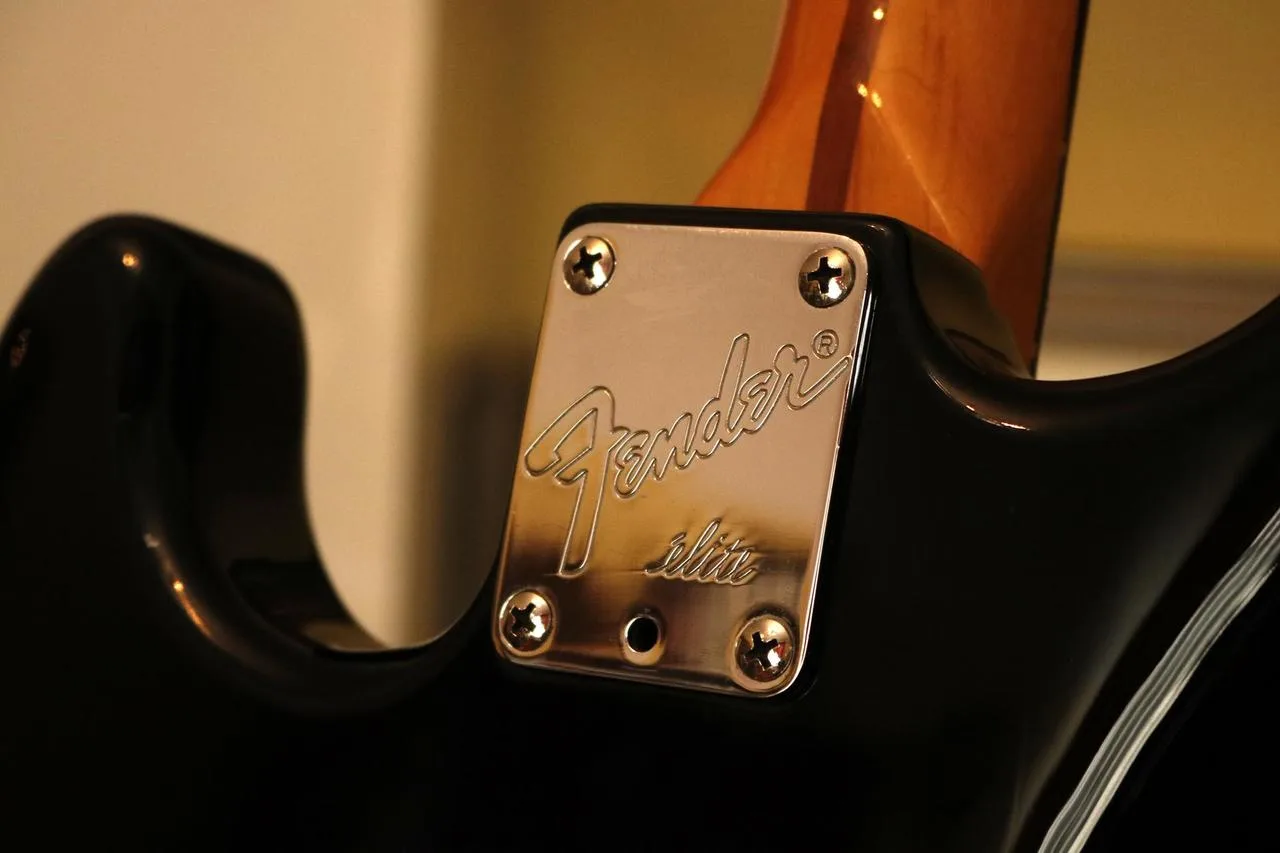 Prodávám kytaru Fender Stratocaster
