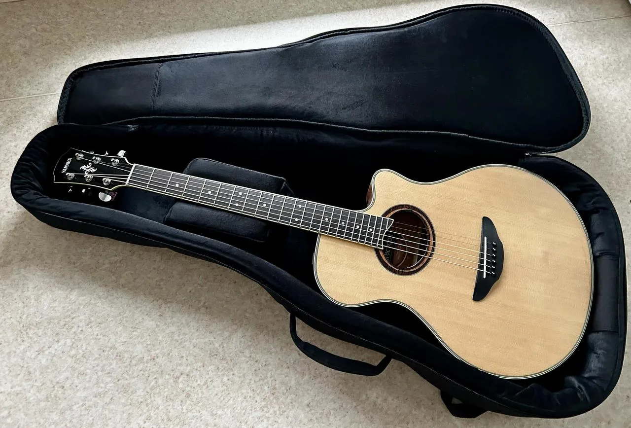 Yamaha APX 700 II NT + Music Area WIND20 PRO obal