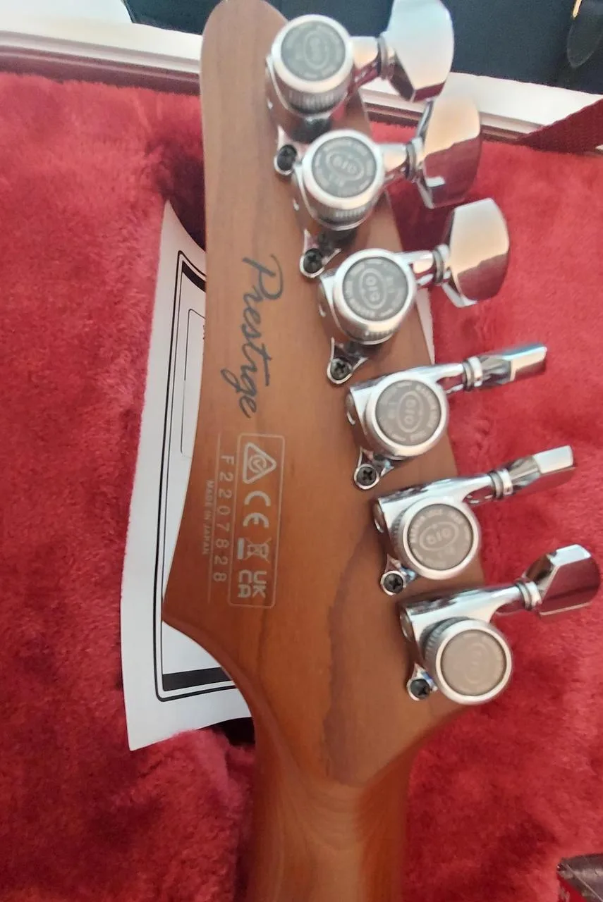 Prodam profi nastroj Ibanez MM1-TAB Martin Miller signature.