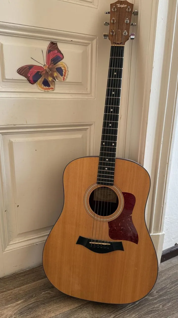 Prodám akustickou kytaru Taylor Model 110