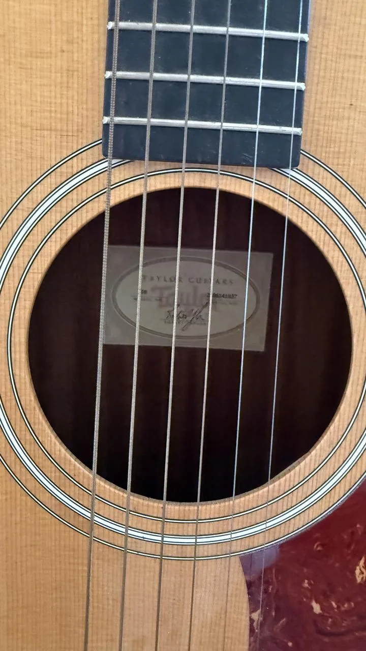 Prodám akustickou kytaru Taylor Model 110