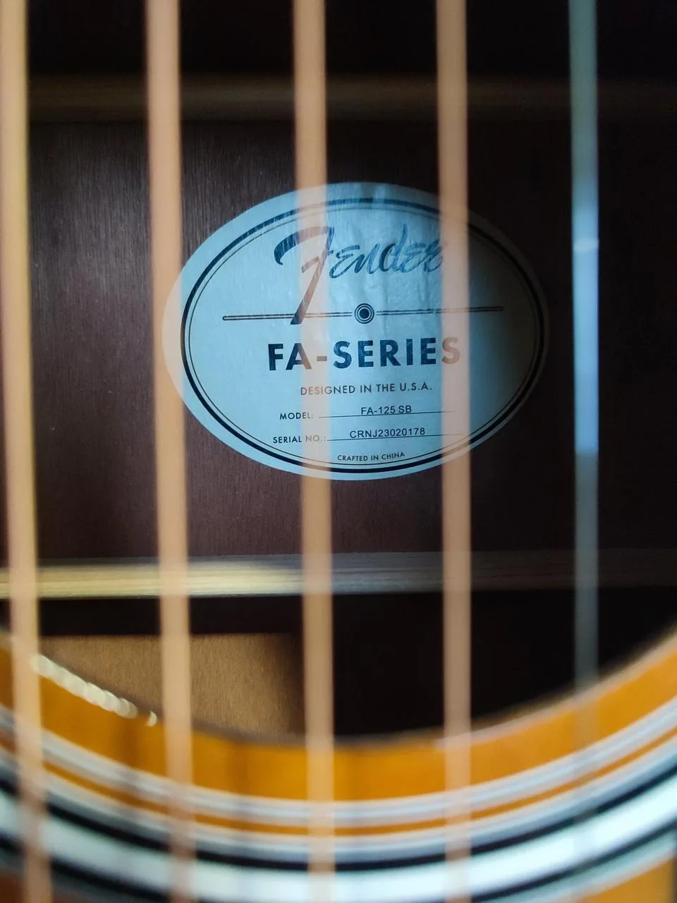 Fender FA125