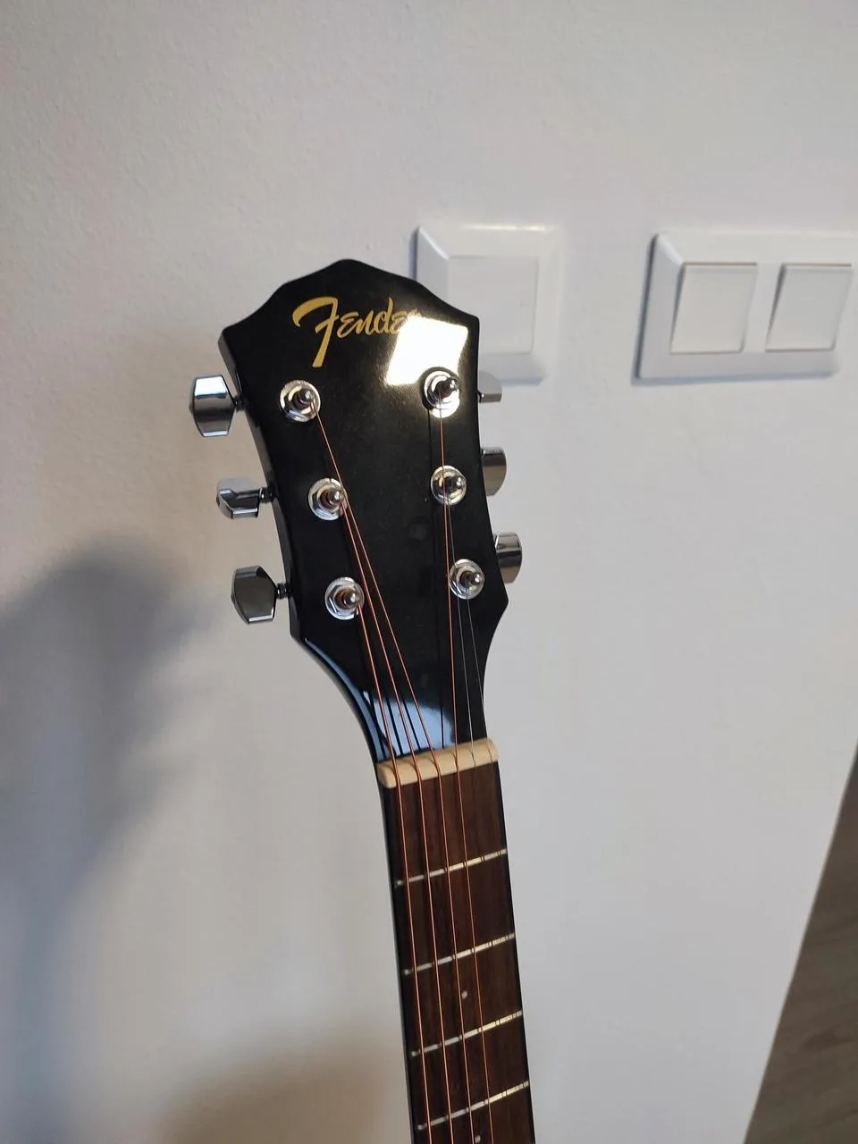 Fender FA125