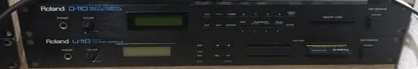 Roland D-110