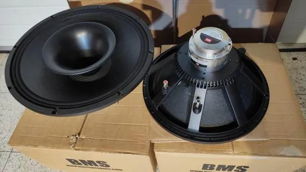 2ks Koaxiální repro BMS 15CN682
