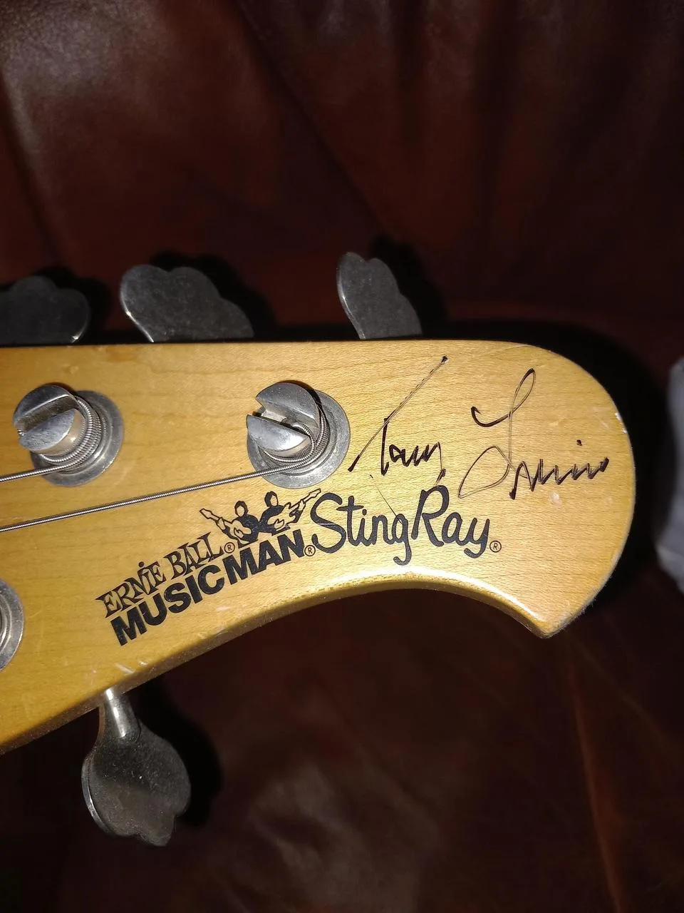 Musicman Stingray