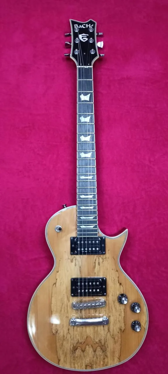 Prodám Les Paul B&Ch - sleva !!